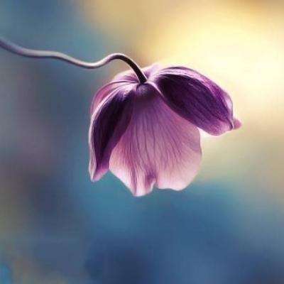 爱游戏综合APP下载