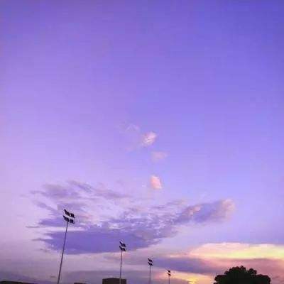 金博宝官网下载手机版