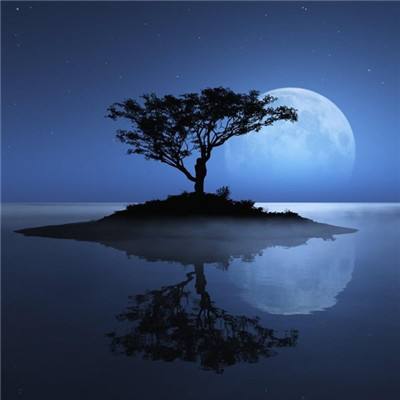 足球北单官方网站