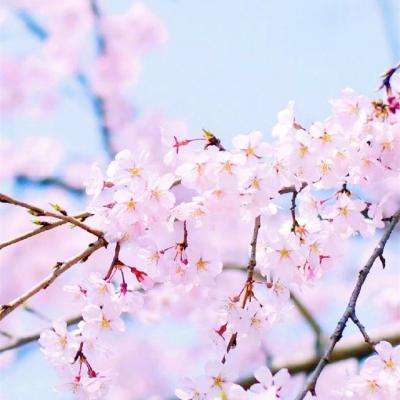 美高梅mgm1888网站